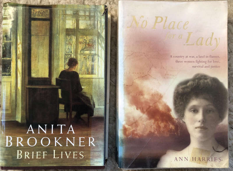 Brief Lives by Anita Brookner and No Place for a Lady by Ann Harries Collection of 2 Books