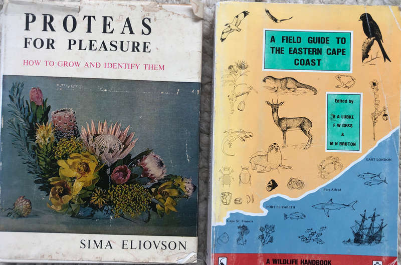 PROTEAS FOR PLEASURE BY S ELIOVSON & A FIELD GUIDE TO THE EASTERN CAPE BY LUBKE, GESS & BRUTON