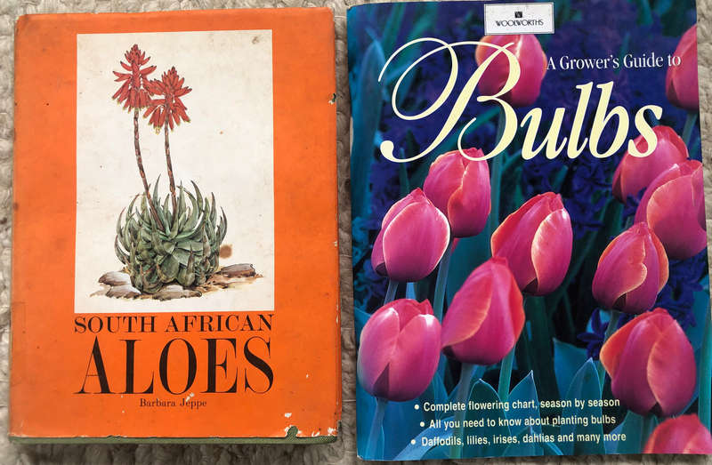 SOUTH AFRICAN ALOES BY B JEPPE & A GROWERS GUIDE TO BULBS WOOLWORTHS