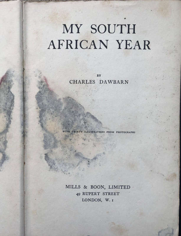 My South African Year by Charles Dawbarn First Edition 1921