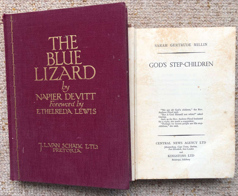 The Blue Lizard by Napier Devitt First Edition God's Step Children by Sarah Gertrude Millin 1st Ed