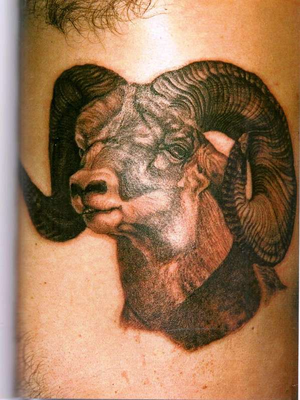 1000 Tattoos