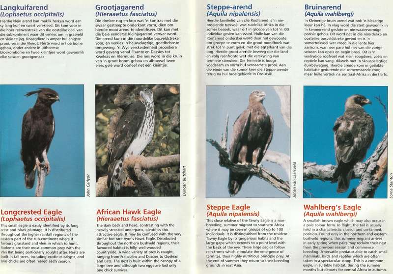 Arende en Boere  --  Eagles and Farmers