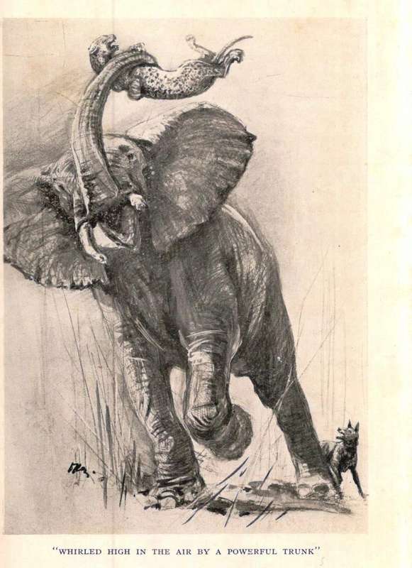 Bred in the Blue or Ways of African Wildlife  --  W S Chadwick