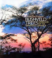 Bushveld Trees  --  Malcolm Funston