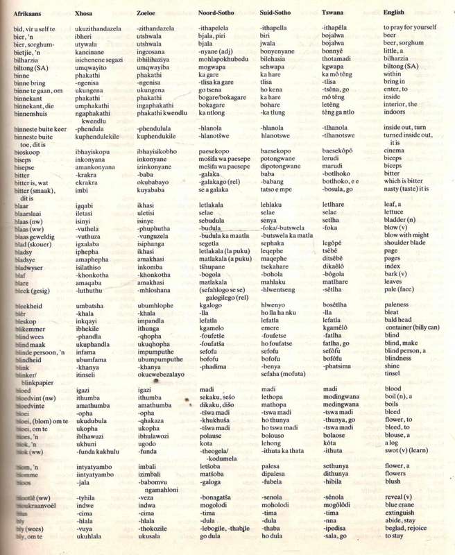 Die Kort Veeltalige Woordeboek  --  Ad Donker  --  The Concise Multilingual Dictionary