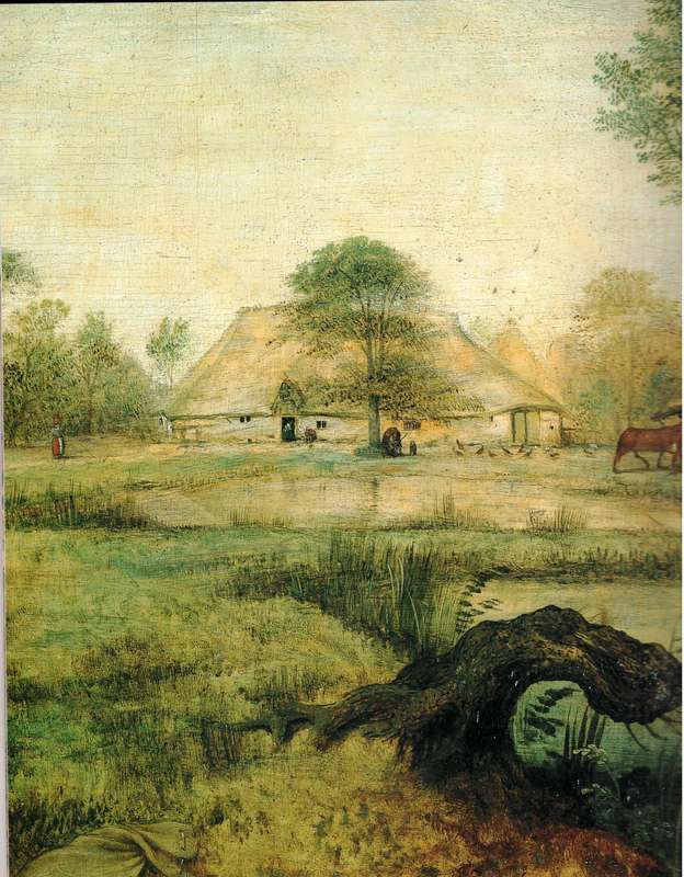 Pieter Bruegel the Elder  --  Wilfried Seipel