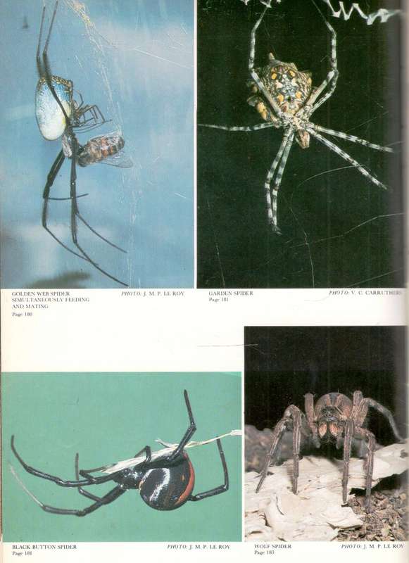 The Sandton Field Book  --  A Guide to the Natural History of the Northern Witwatersrand