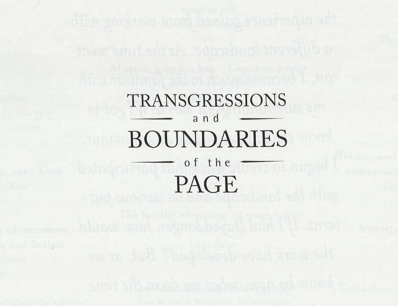 Transgressions and Bounderies of the Page