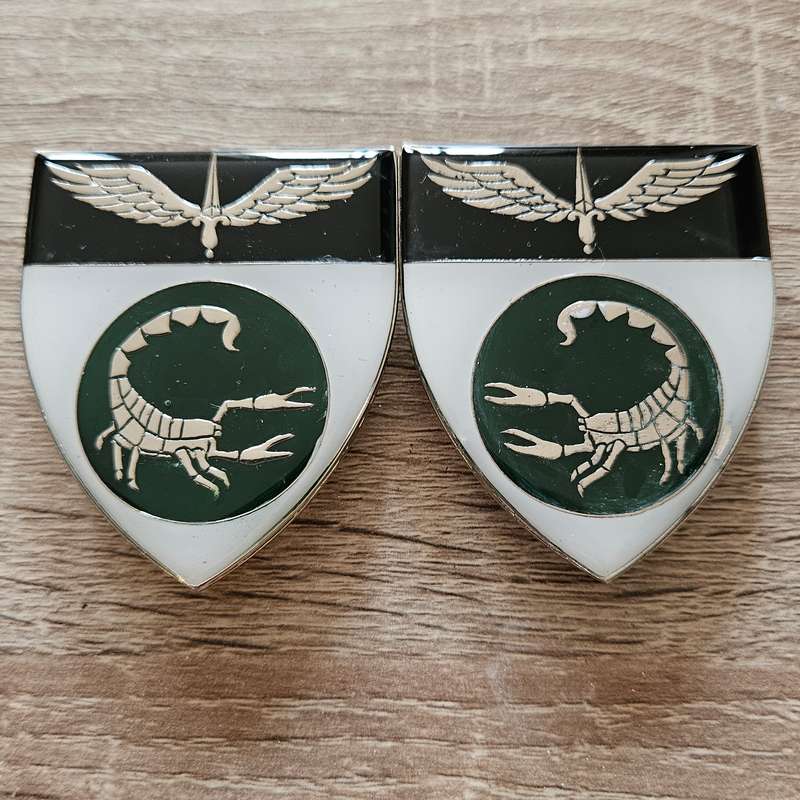 2 Recce Shoulder Flash Set (1st Type)