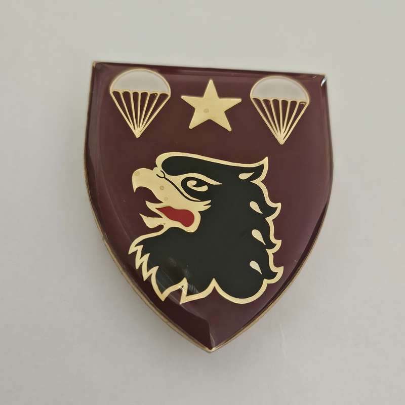 4 Parachute Battalion shoulder flash