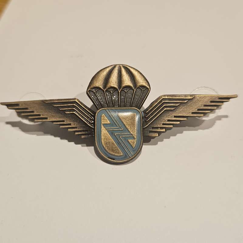 Eskom paratrooper wing bronze