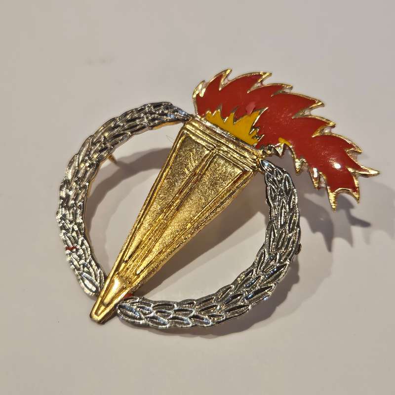 Pathfinder badge