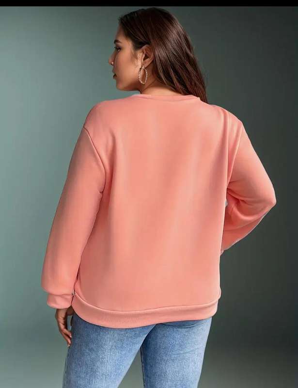 Stunning sweatshirt :  3XL