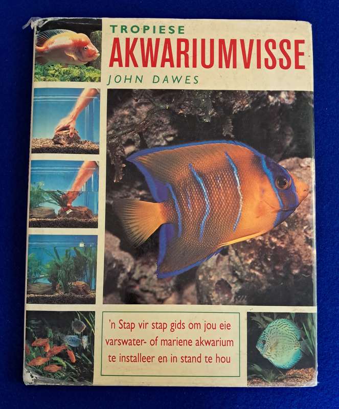 Tropiese Akwarium visse - John Dawes
