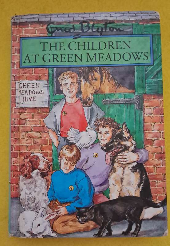 The Children at Green Meadows - Enid Blyton