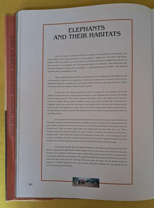 a Day in the Life of an African Elephant - Anthony Hall-Martin