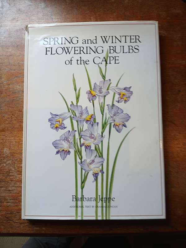 Spring and Winter Flowering Bulbs of the Cape