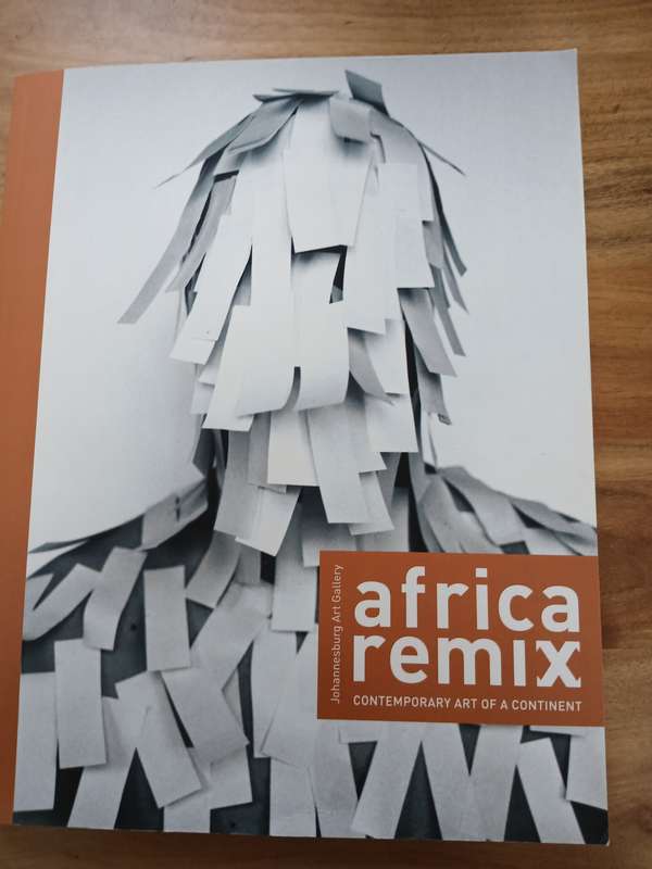 Africa Remix   Contemporary art of a continent