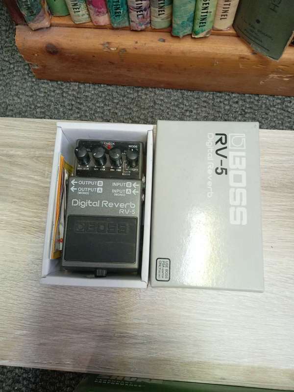 Boss RV-5