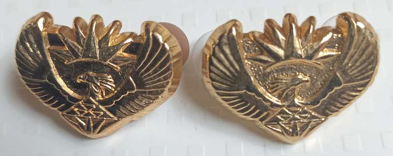 SADF Officer Secretary Bird Rank Insignia - Pins intact Dia. 30 x 20 cm