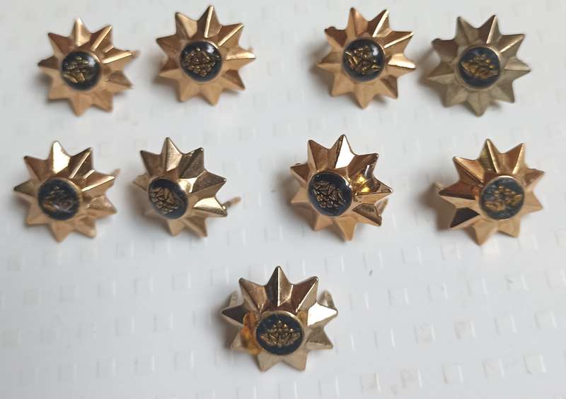 9 x SADF 8 Star Secretary bird  Emblem Insignia-Pins intact-dia 20 mm-sell per star