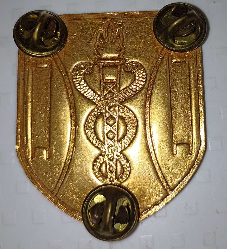 Pair of Emergency Services metal Flashes with pins in good condition