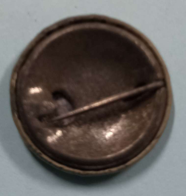 Vintage Commemoration Historic National Heroes-General CR de Wet Pin - Dia. 25 cm
