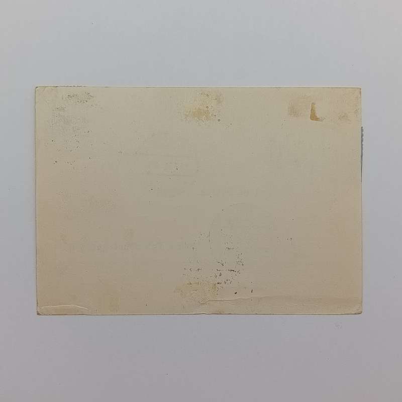 Airmail card flown on Graf Zeppelin from Friedrichshafen Bodenseel to Vienna Austria stamps