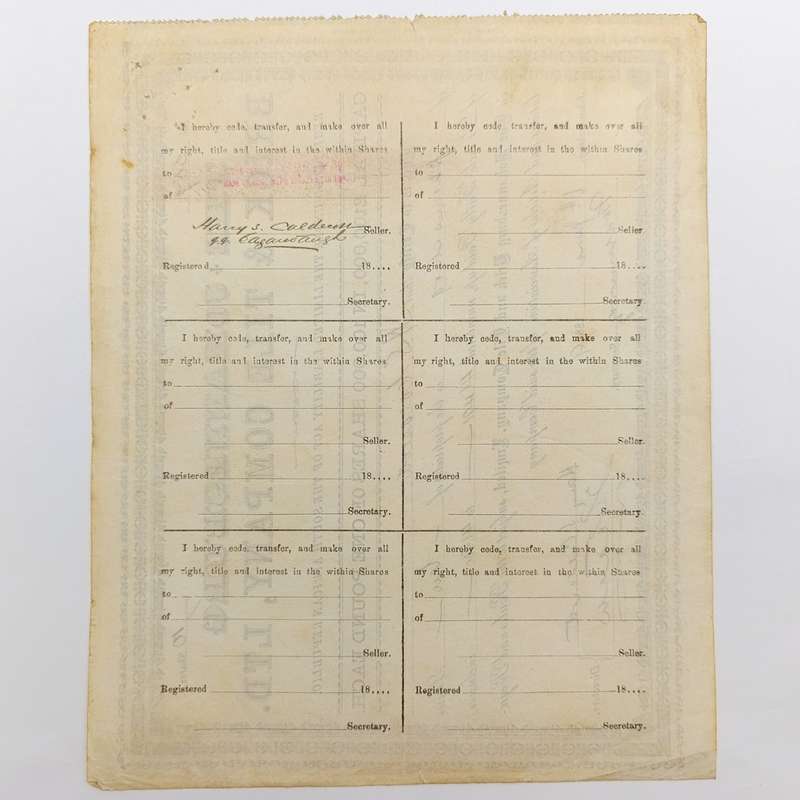 Share certificate dated 6th of June 1889 for The Johannesburg Brick and Tile Company