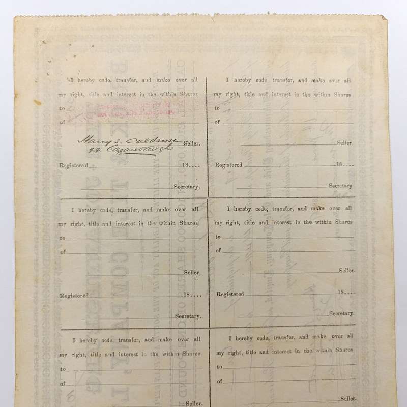 Share certificate dated 6th of June 1889 for The Johannesburg Brick and Tile Company