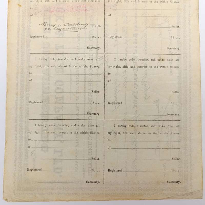 Share certificate dated 6th of June 1889 for The Johannesburg Brick and Tile Company