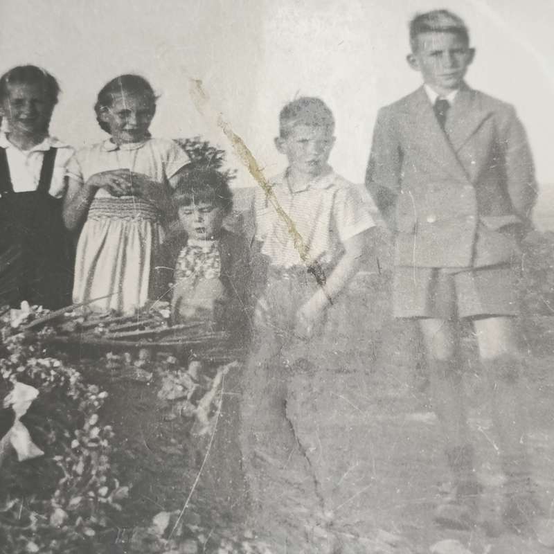 Lot of 27 Vintage & antique photos of the Van Wyk, Badenhorst, Beukes, Groenewald families