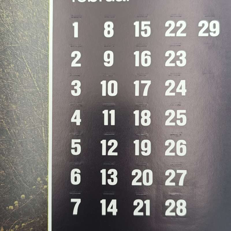 Vintage German Railways calendar - date only - no year or day