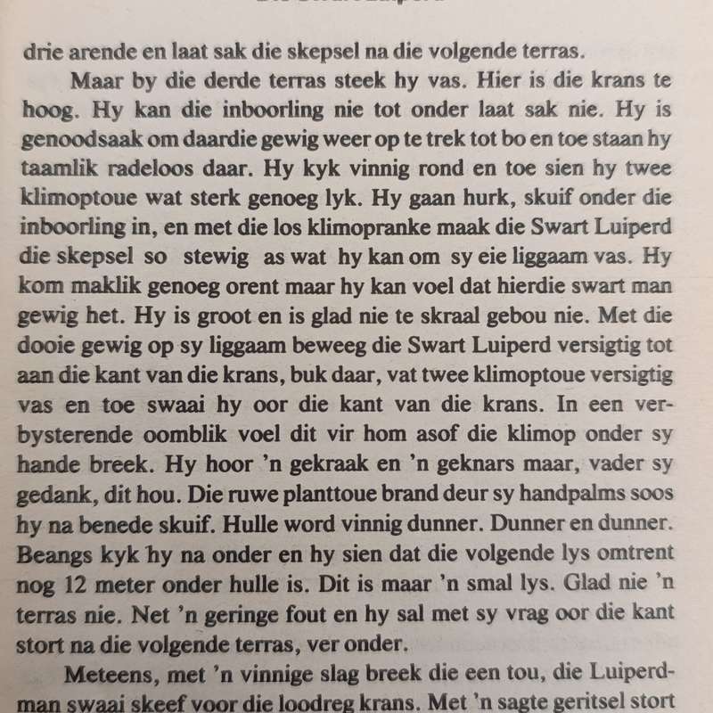 Afrikaans vintage storybook - Die Swart Luiperd no 53