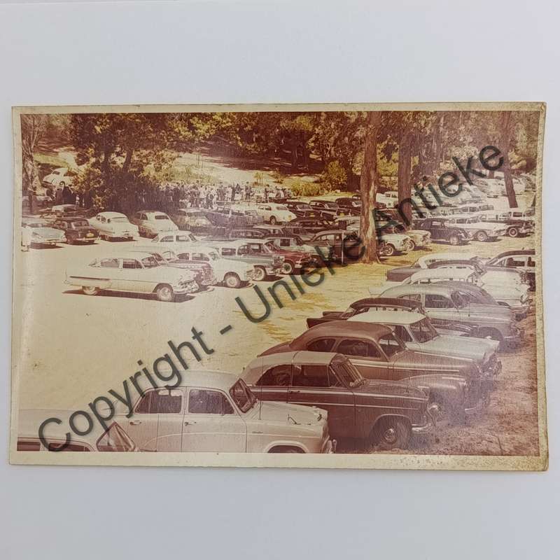 1950's photo taken at Meulwater, Paarl mountain