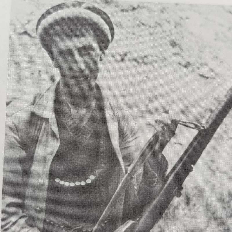 Military small arms of the 20th century Hogg & weeks 1985
