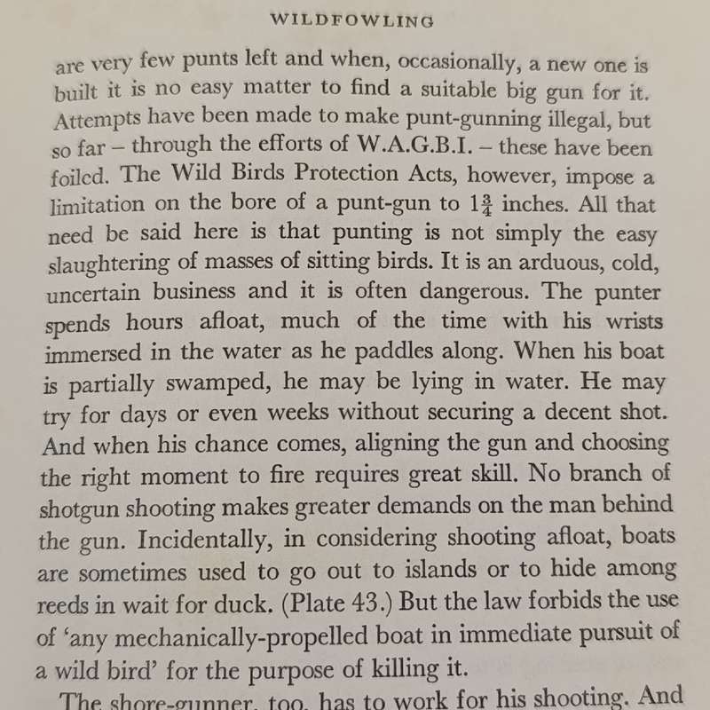 Shotgun and shooter - Carlisle & Stanbury 1970 first edition