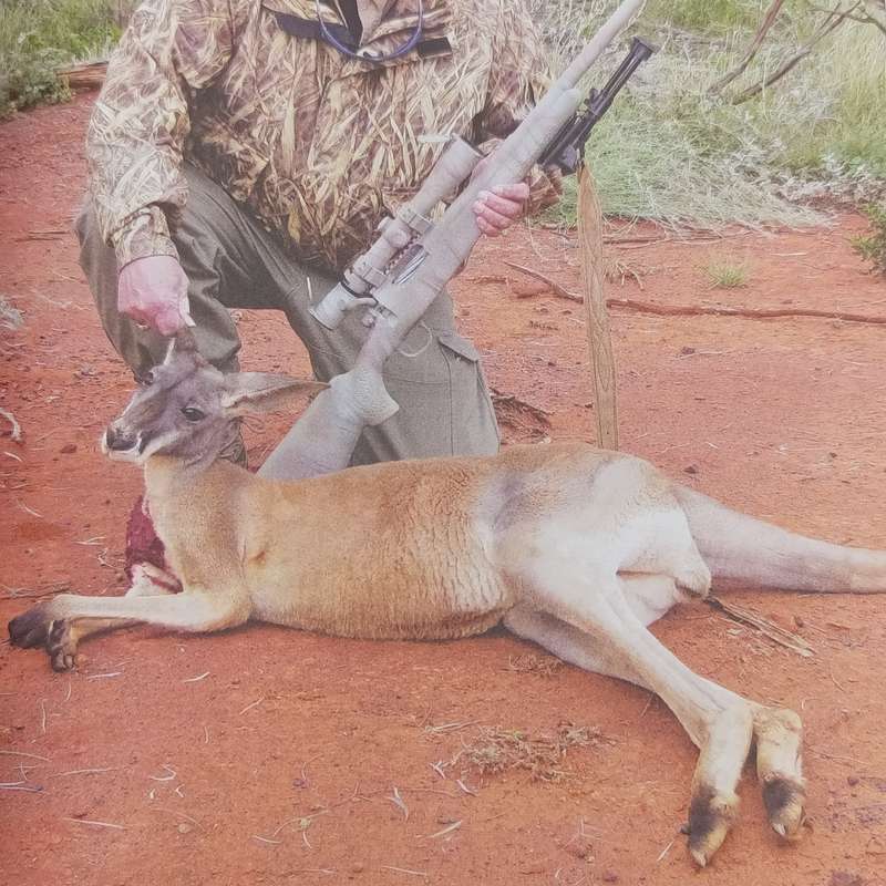 2012 Gun Digest - Dan Shideler