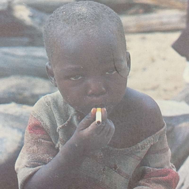 South Africa's Border War 1966-1989 by Willem Steenkamp
