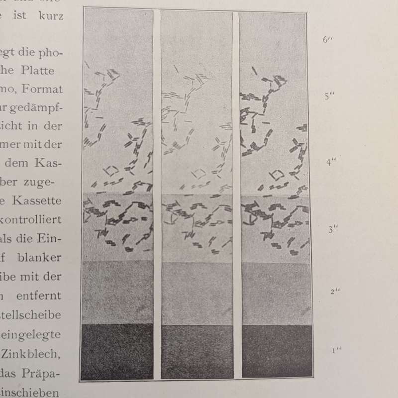Leitfaden der Mikrophotographie in der Mykologie - 1909 German issue
