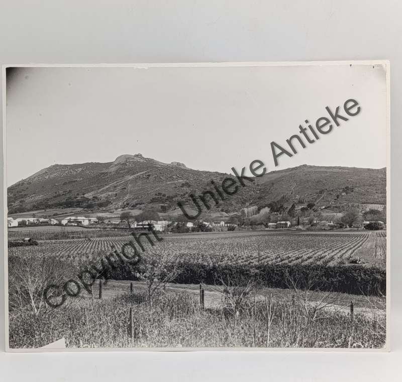 Antique photo of Paarl mountain taken from below Cheve Bethel farm - circa late 1800's/1900's