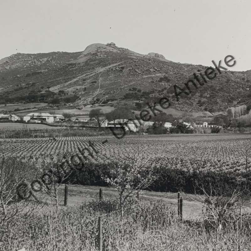 Antique photo of Paarl mountain taken from below Cheve Bethel farm - circa late 1800's/1900's