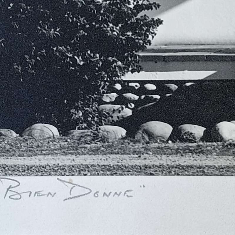 Antique photo of Bien Donne manor house in Groot-Drakenstein - circa 1900's - taken by Chris Burger