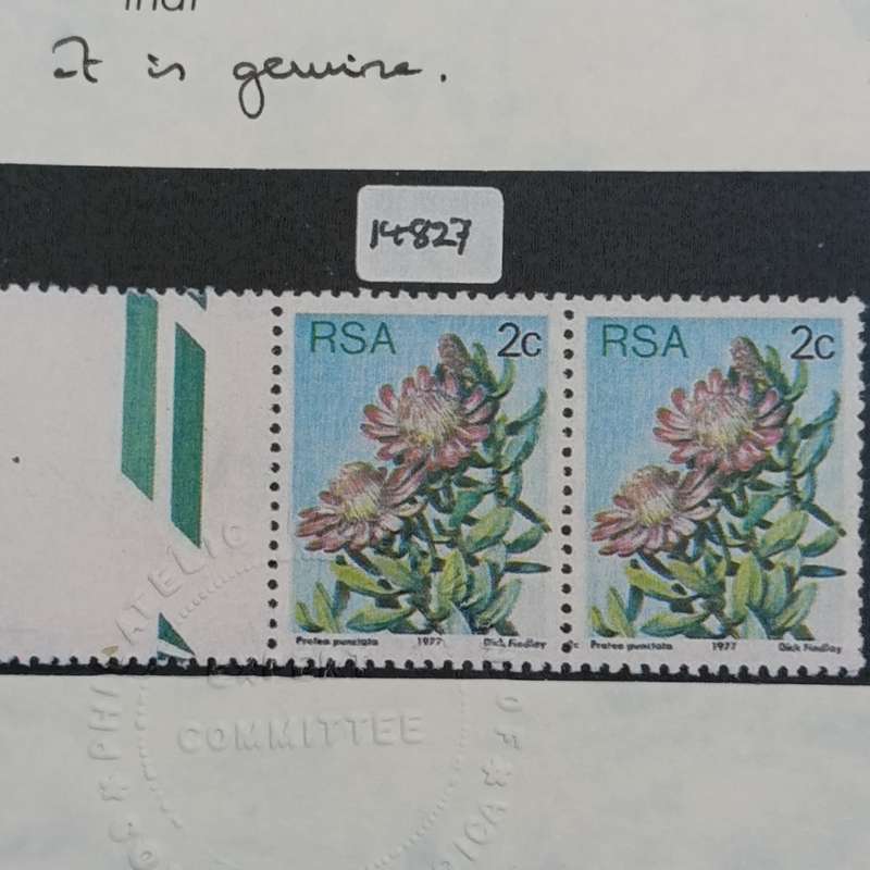 South Africa 1977 2c protea (SACC 419) unused marginal pair