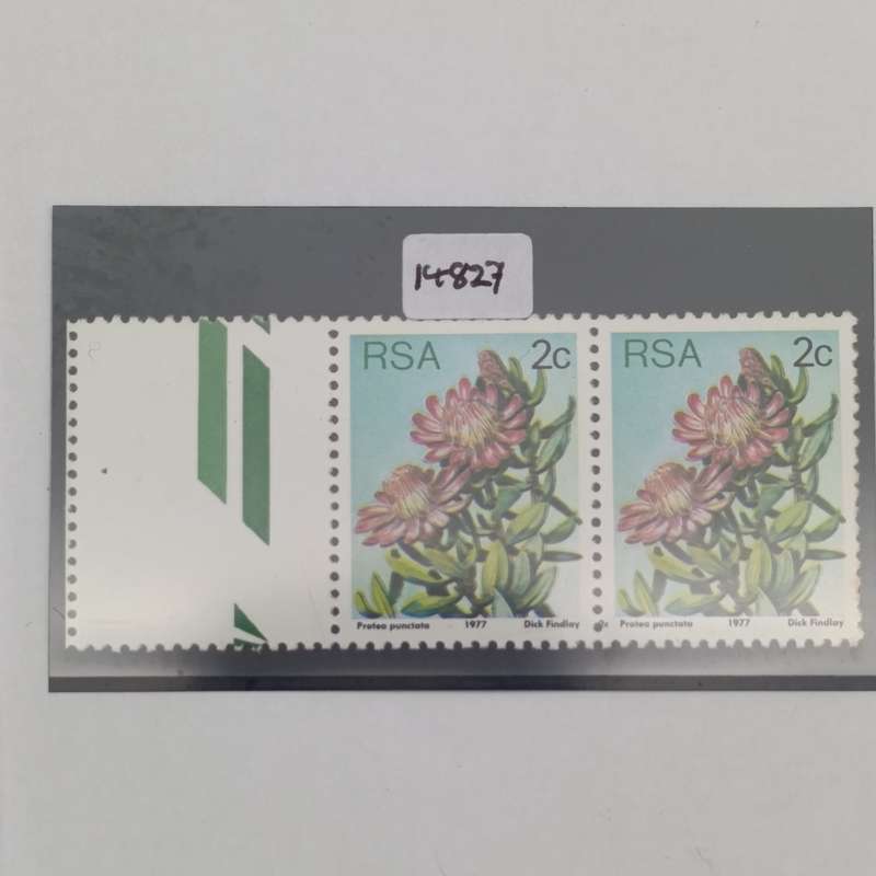 South Africa 1977 2c protea (SACC 419) unused marginal pair