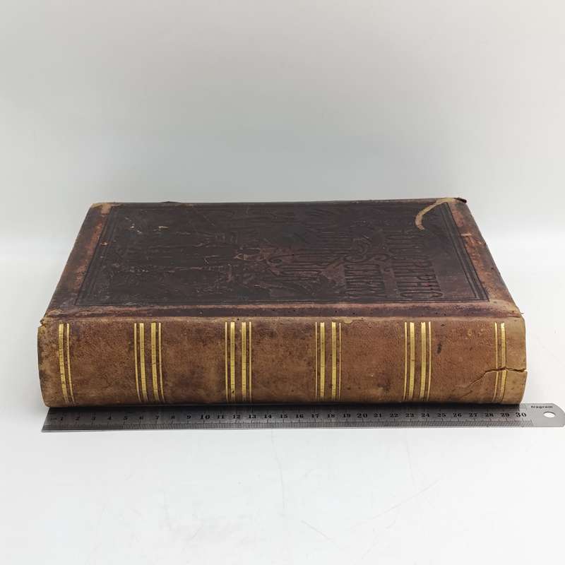 Photographic Scenery of South African book with 100 photos - circa 1880 - some damaged pages