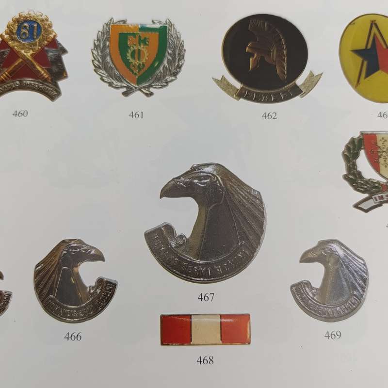 Border War badges a guide to SA Military & Police badges 1964 - 1994 by Andrew Ross Dinnes
