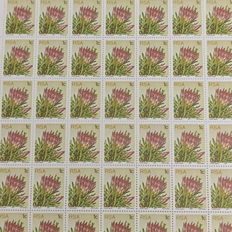 1977 South Africa Full page of 1 cent stamps - protea unmounted mint