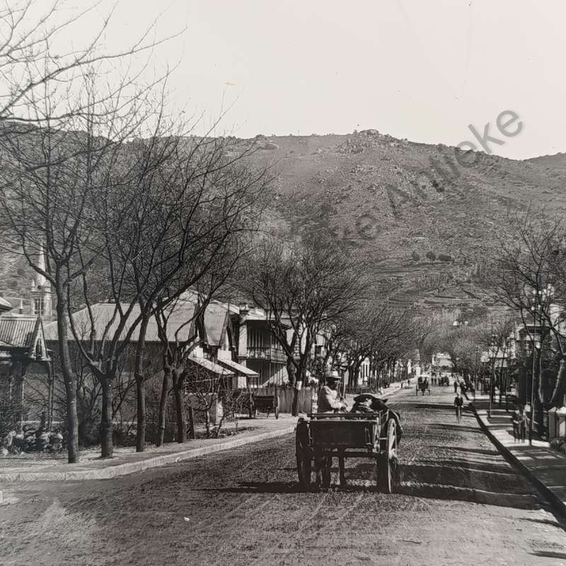 Antique photo of Lady Grey street, Paarl - taken towards Paarl Mountain - circa 1910